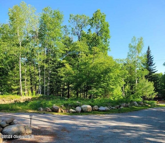 25 Berry Hill Way, Schroon NY, 12870 land for sale