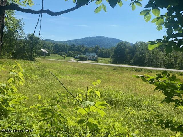 Listing photo 2 for L14.2 Cooper Hill Rd, Johnsburg NY 12853