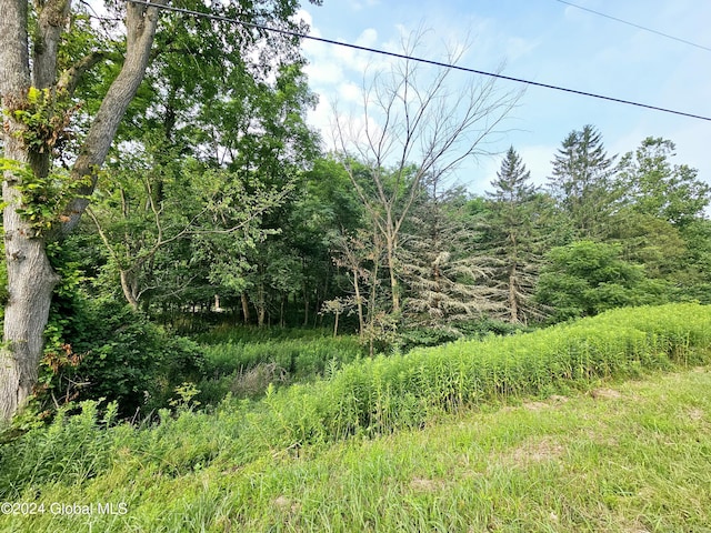 L23 State Route 145, Broome NY, 12122 land for sale