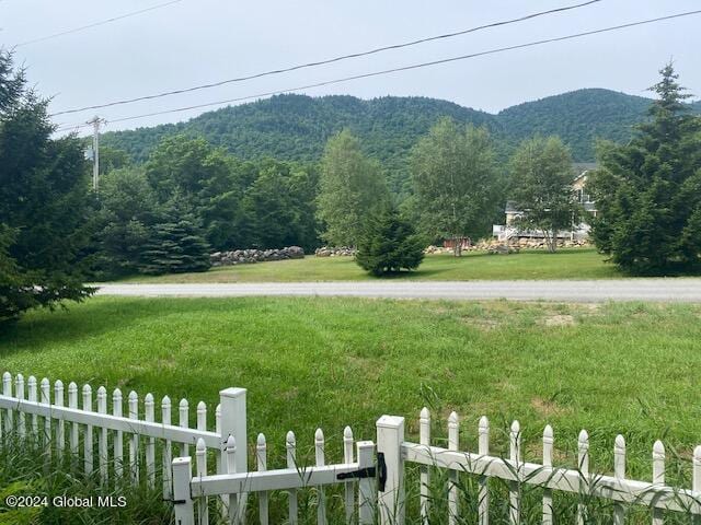 302 Edwards Hill Rd, Johnsburg, NY 12811 - property view of mountains