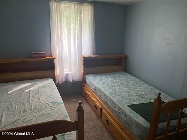 302 Edwards Hill Rd, Johnsburg, NY 12811 - view of carpeted bedroom