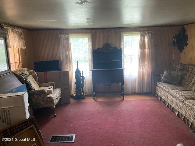 302 Edwards Hill Rd, Johnsburg, NY 12811 - interior space featuring a healthy amount of sunlight