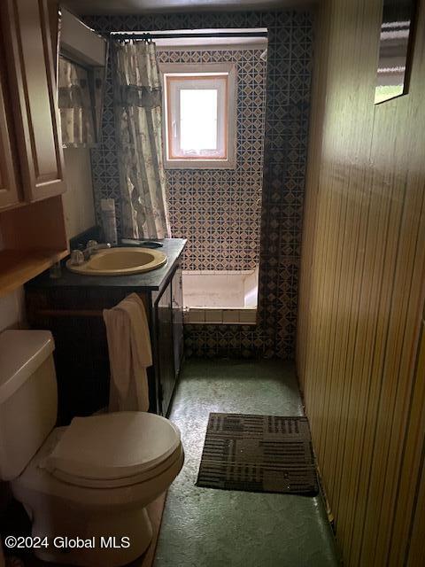 302 Edwards Hill Rd, Johnsburg, NY 12811 - bathroom featuring a shower with shower curtain, toilet, and sink