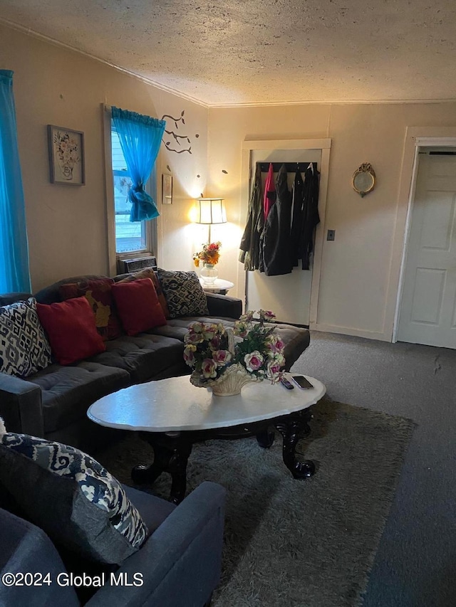 carpeted living room featuring a textured ceiling and crown molding