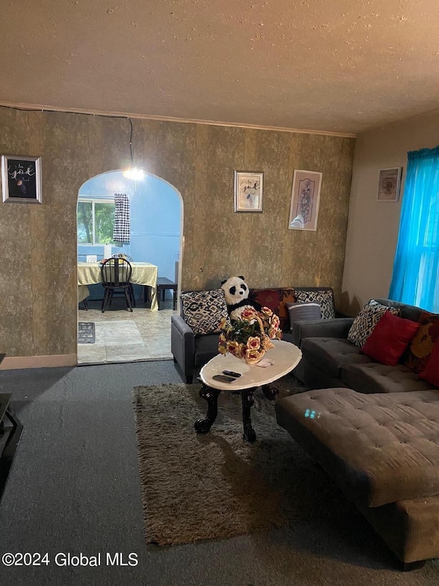 living room with a textured ceiling and carpet floors