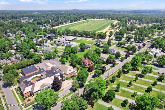 bird's eye view