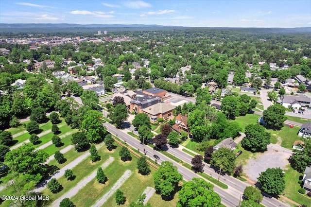 bird's eye view