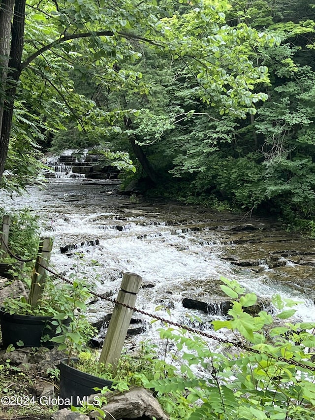 view of nature with a water view