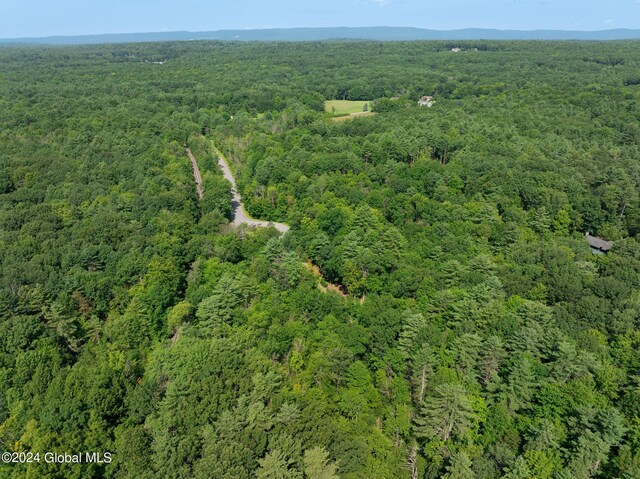 20 Copperfield Rd, Greenfield, NY 12833