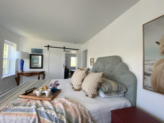 bedroom featuring wood finished floors, multiple windows, and a barn door