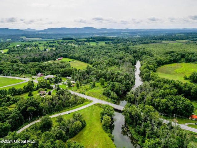 drone / aerial view featuring a mountain view and a view of trees