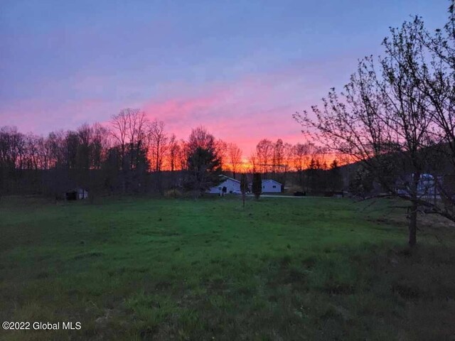 view of yard at dusk