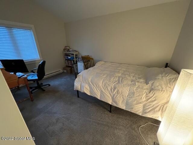 carpeted bedroom featuring baseboard heating