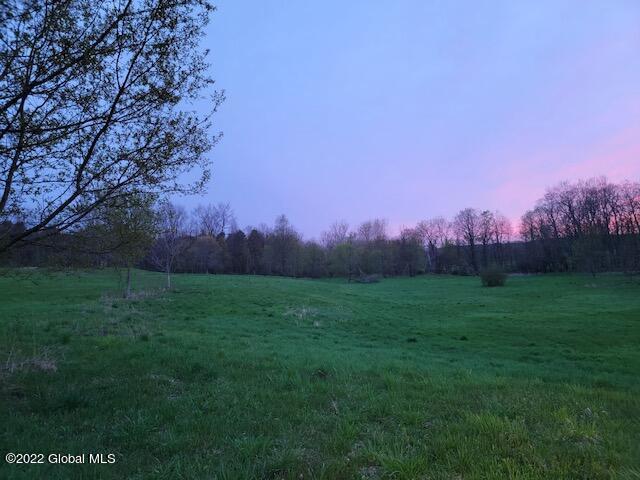 view of yard at dusk