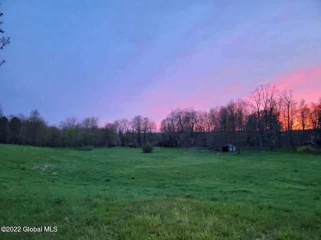 view of yard at dusk