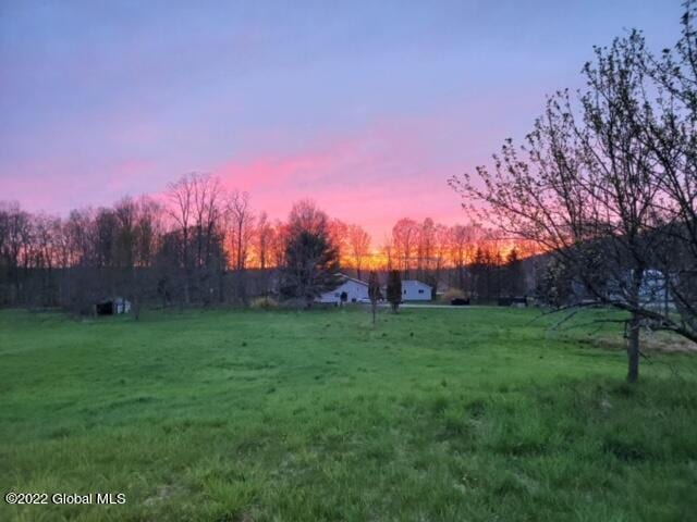 view of yard at dusk