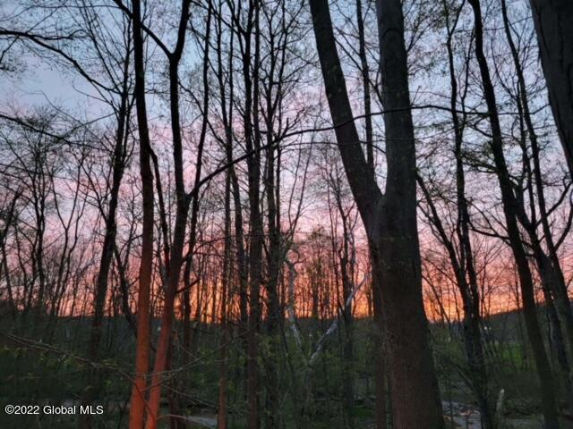 view of nature at dusk