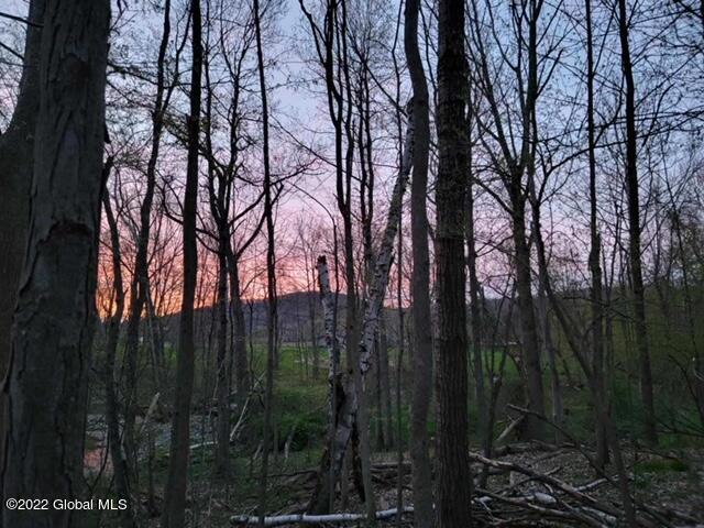 view of nature at dusk