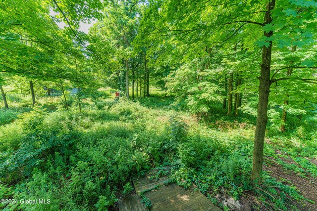 view of local wilderness