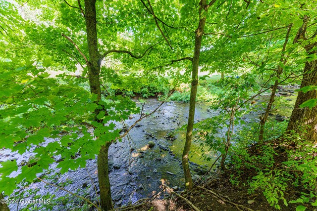 view of nature featuring a water view