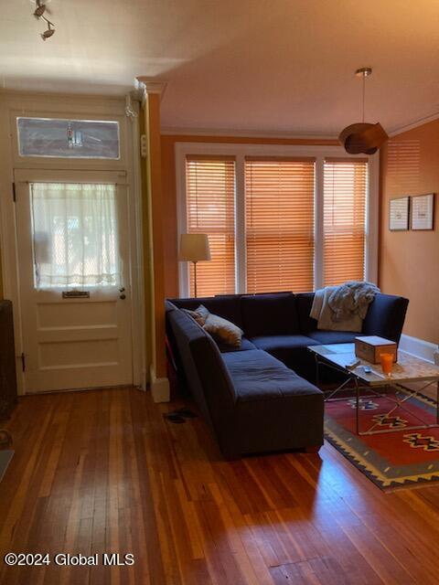 living room featuring ornamental molding and hardwood / wood-style flooring