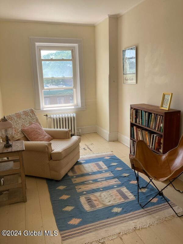 living area featuring radiator heating unit