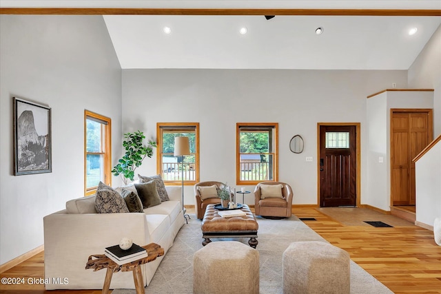 living room featuring high vaulted ceiling and light hardwood / wood-style flooring