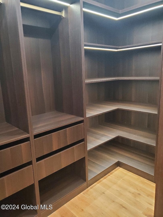 walk in closet featuring wood-type flooring