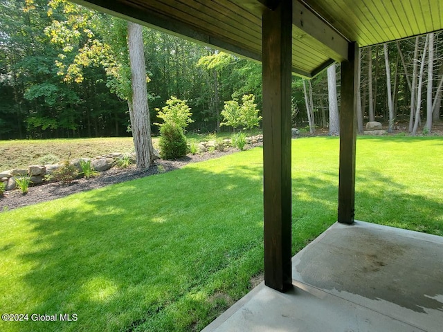 view of yard featuring a patio area