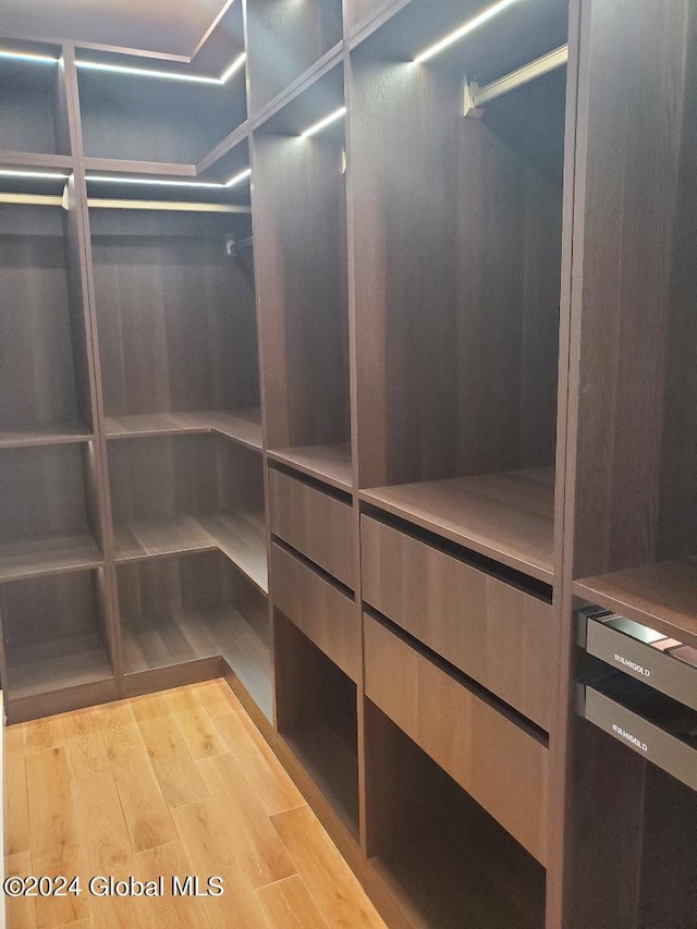 spacious closet with light wood-type flooring