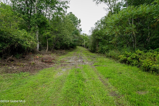 view of road