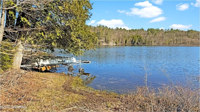 view of dock featuring a water view