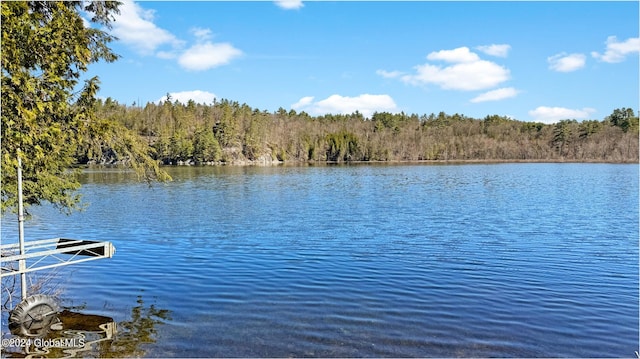 water view with a boat dock