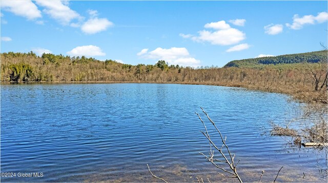 67 Adams Ln, Schroon, NY 12870 - water view with a heavily wooded area