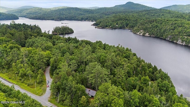 bird's eye view with a water and mountain view