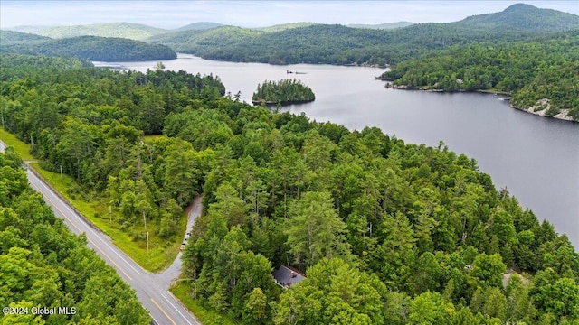 bird's eye view with a water and mountain view