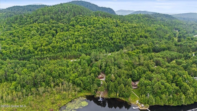 birds eye view of property with a water and mountain view