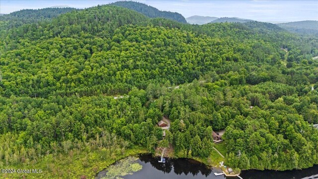 67 Adams Ln, Schroon, NY 12870 - view of property location with a heavily wooded area and a water and mountain view