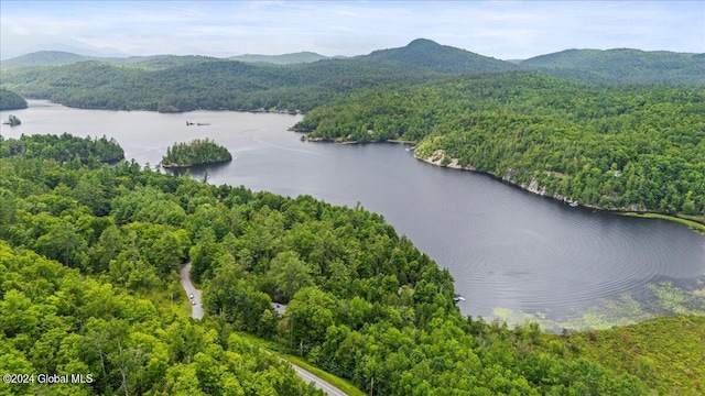 drone / aerial view with a water and mountain view