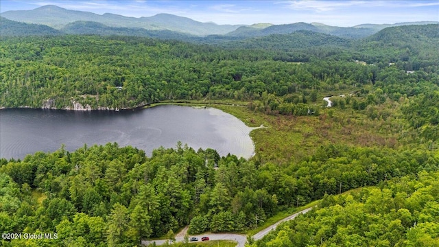 bird's eye view featuring a water and mountain view