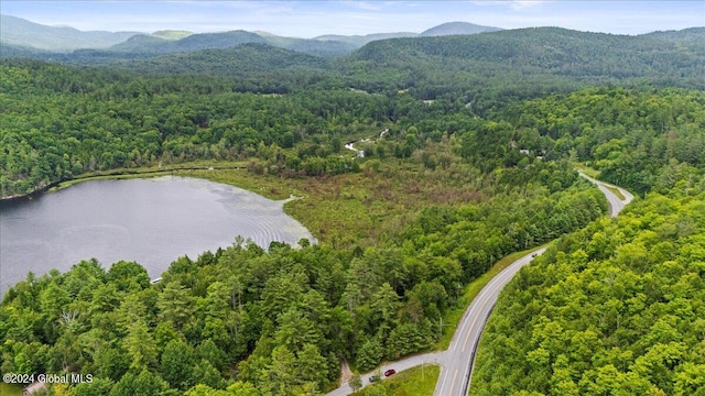 drone / aerial view featuring a water and mountain view