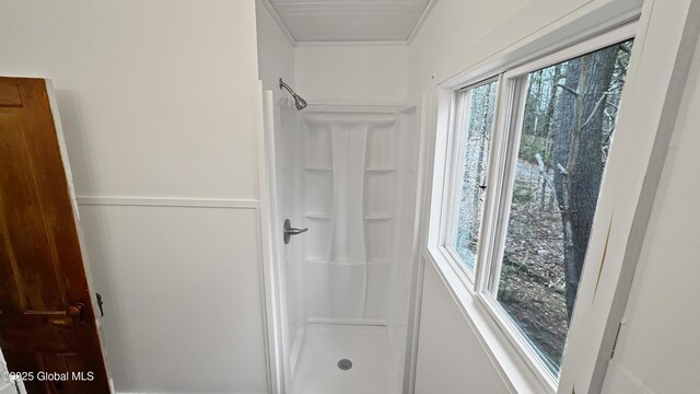 67 Adams Ln, Schroon, NY 12870 - bathroom with plenty of natural light, a shower stall, and ornamental molding