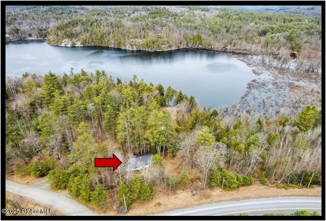 67 Adams Ln, Schroon, NY 12870 - bird's eye view of a heavily wooded area and a large body of water