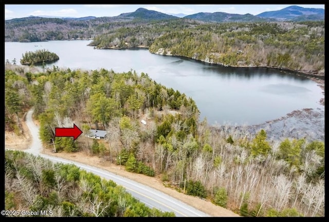 67 Adams Ln, Schroon, NY 12870 - aerial view of a water and mountain view and a heavily wooded area