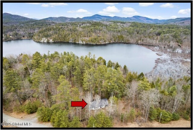67 Adams Ln, Schroon, NY 12870 - aerial view of a water and mountain view and a heavily wooded area