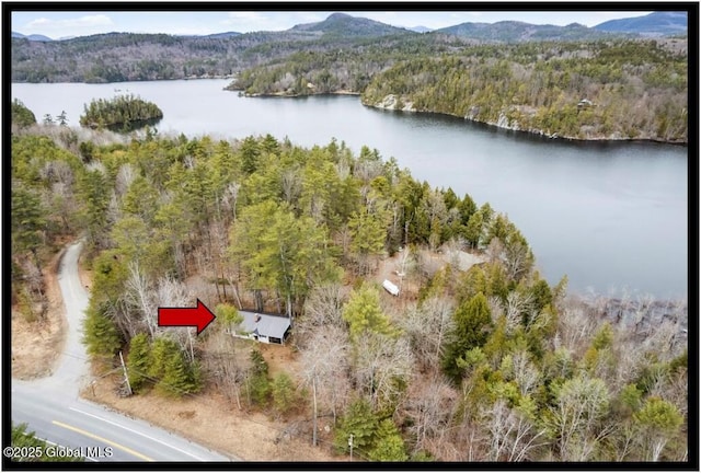 67 Adams Ln, Schroon, NY 12870 - aerial view of a forest and a water and mountain view
