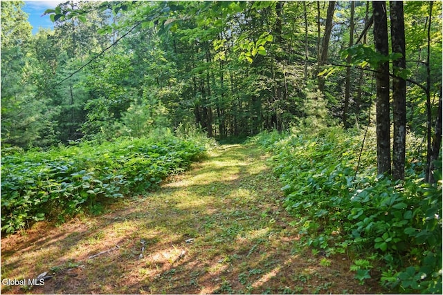 67 Adams Ln, Schroon, NY 12870 - photo 42