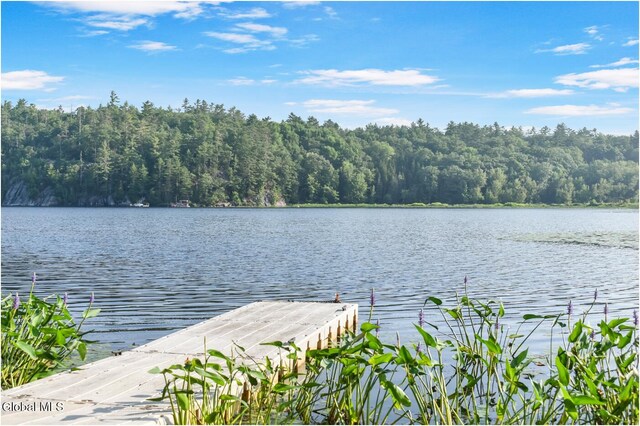 67 Adams Ln, Schroon, NY 12870 - photo 43