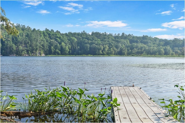 67 Adams Ln, Schroon, NY 12870 - photo 44