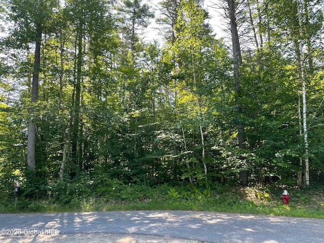 L1 Montreaux St, Lake Luzerne NY, 12846 land for sale